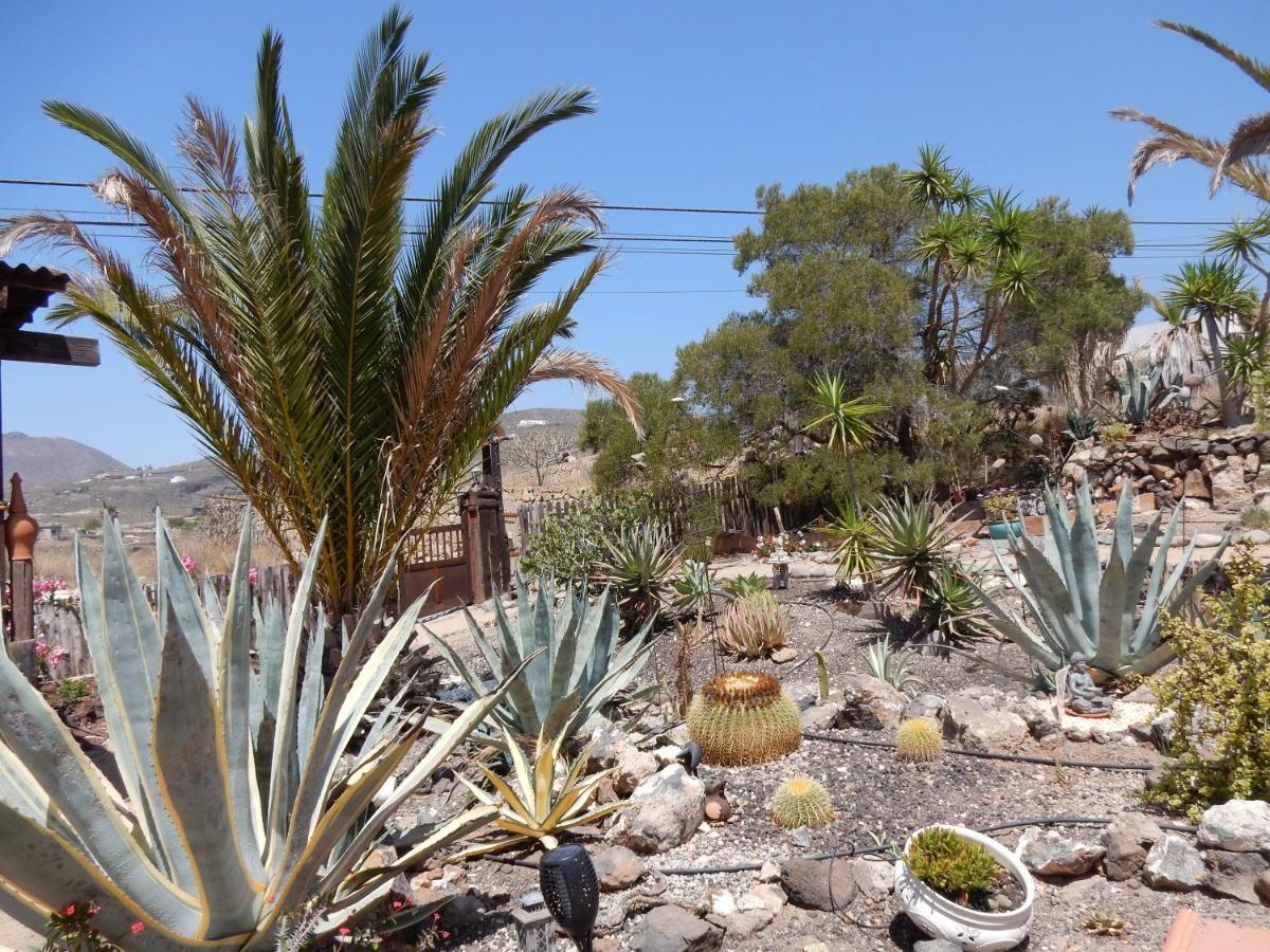 Finca Florida San Miguel de Abona Dış mekan fotoğraf